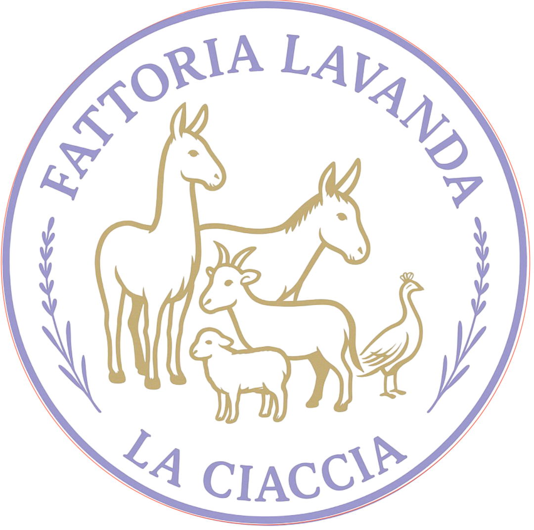 Fattoria Lavanda LA CIACCIA